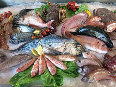 great white sea bream many saltwater fish fresh in the fridge of the seafood restaurant in southern Italy